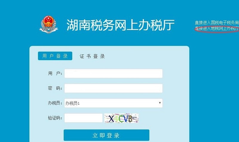 湖南电子税务局网上申报系统官方版(1)