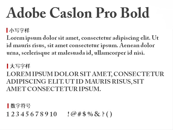 adobe caslon pro bold免费版电脑版(1)