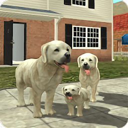 模拟狗子生存官方版(dog sim)