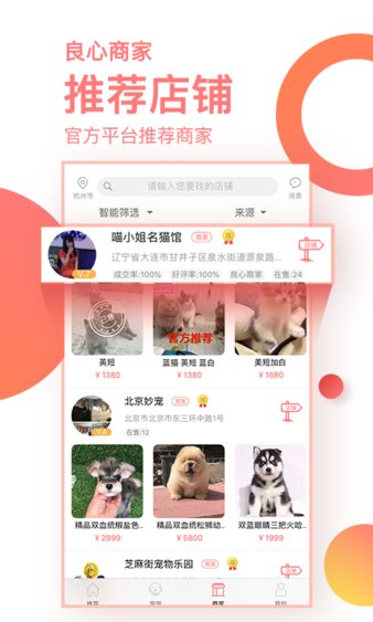 淘宠网手机版(2)