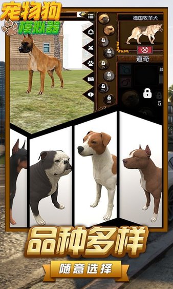 宠物狗模拟器中文版v1.2 安卓版(2)