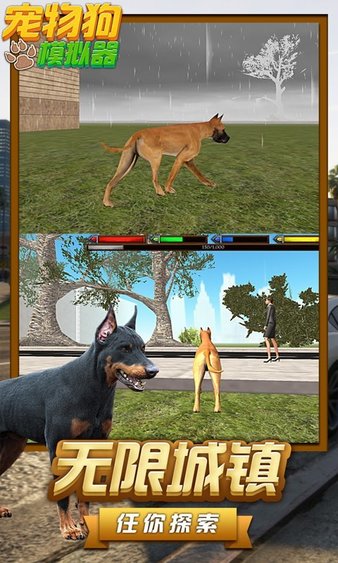 宠物狗模拟器中文版v1.2 安卓版(3)