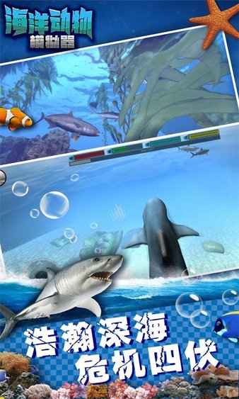 海洋动物模拟器游戏v1.2 安卓版(1)