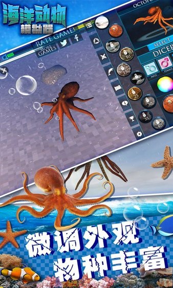 海洋动物模拟器游戏v1.2 安卓版(3)
