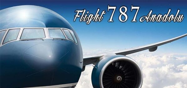 flight787专业版v1.7 安卓版(3)