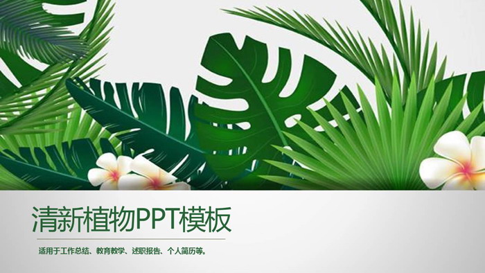 绿色植物ppt背景模板电脑版(1)