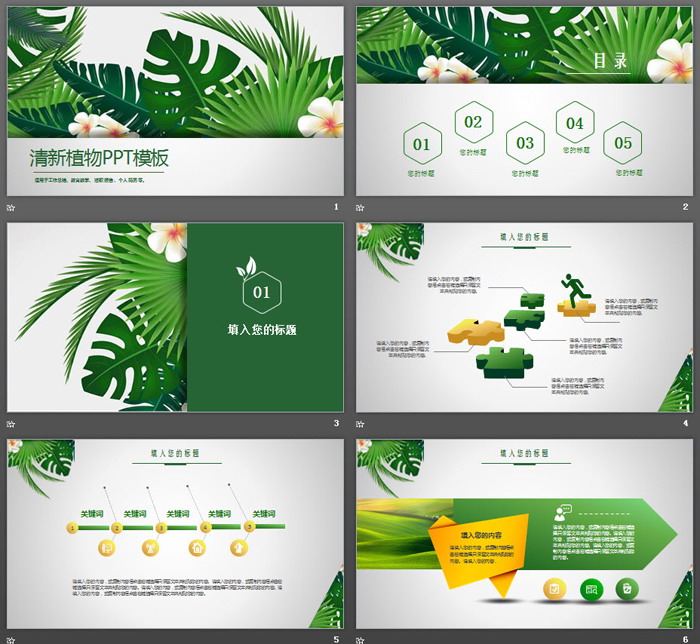绿色植物ppt模板免费版