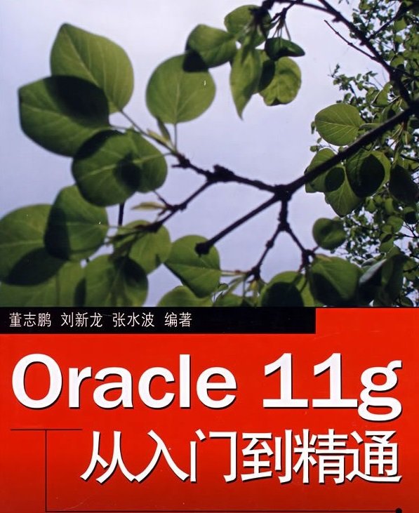 oracle11g电子书pdf