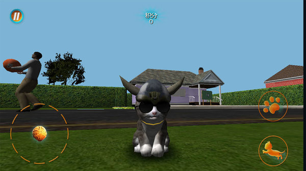 真实小猫3d模拟手游v1.0 安卓版(1)