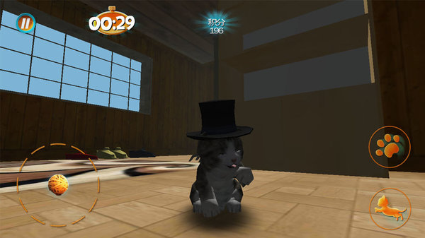真实小猫3d模拟手游(2)