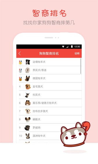 宠物百科app(3)