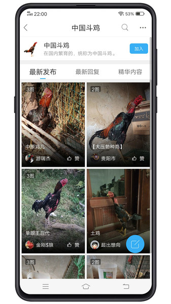 中国斗鸡论坛最新版v2.6.9 安卓版(1)