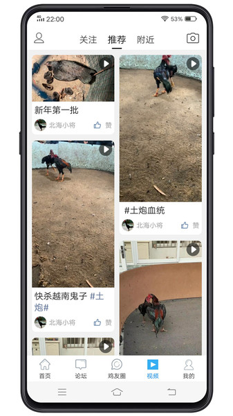 中国斗鸡论坛app