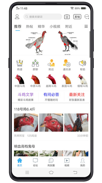 中国斗鸡论坛最新版v2.6.9 安卓版(3)