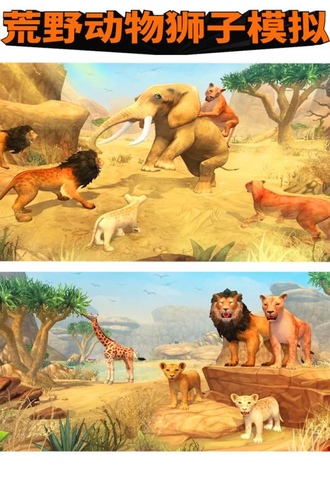 荒野动物狮子模拟手机版v1.0.1 安卓版(2)