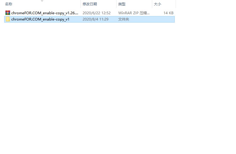 enable copy官方版