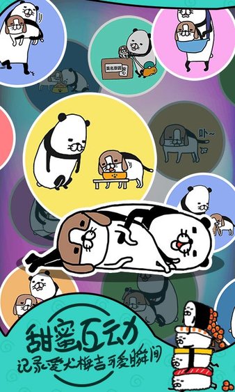 熊猫和狗手机版v1.0 安卓版(1)