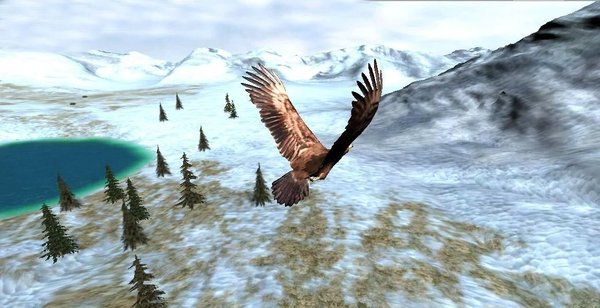 猎鹰之旅模拟器(eagle hunting journey)(2)