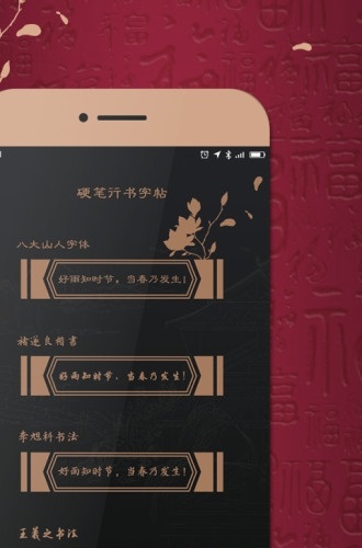练字帖appv1.1 安卓版(2)