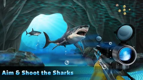 鲨鱼狩猎游戏