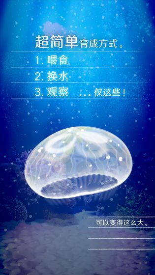 养育水母的治愈游戏中文版(3)