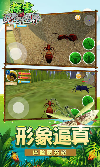 探索昆虫世界中文版v1.8 安卓版(3)