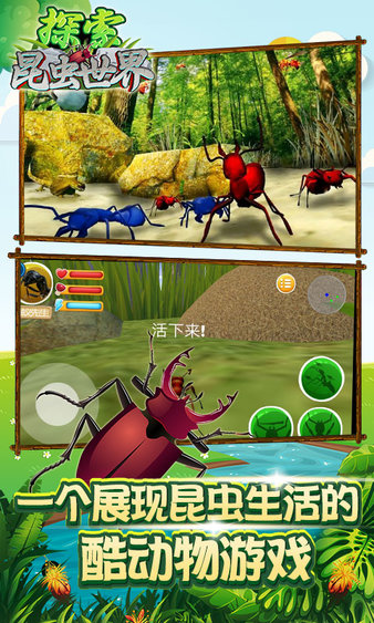探索昆虫世界游戏