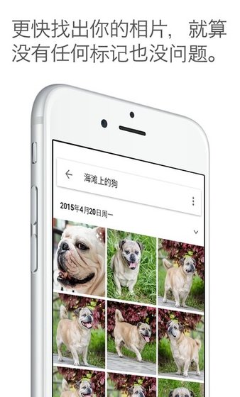 google photos中国版v4.24.1.268564418 安卓版(3)