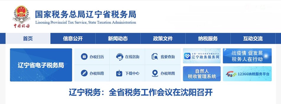 辽宁省电子税务局网上申报系统(1)