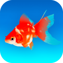 金鱼模拟器游戏 v1.0 安卓完整版
