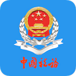 北京市电子税务局移动端游戏图标
