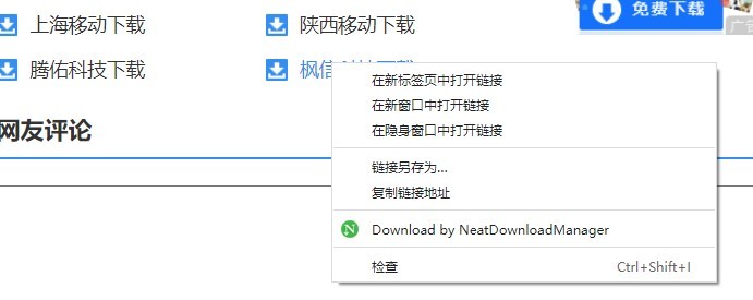 neatdownloadmanager中文版