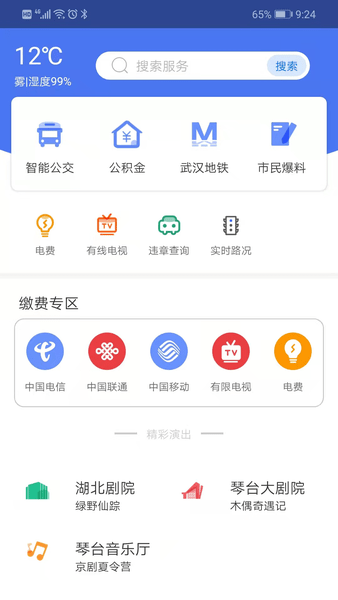 i武汉-武汉战役app下载