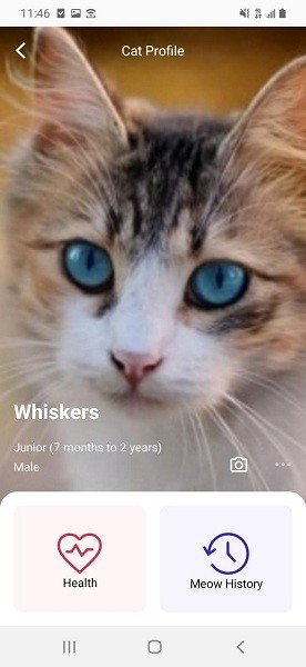 meowtalk喵說客戶端(1)