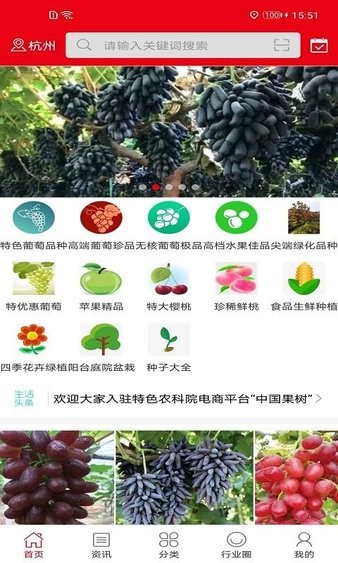 中国果树官方版(3)