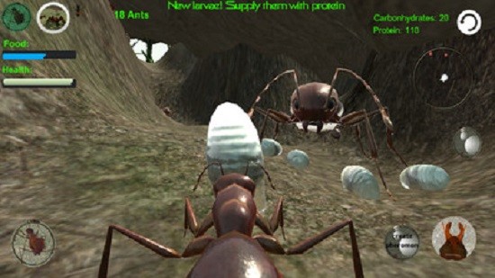 蚂蚁模拟3d中文版(1)