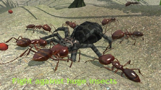 蚂蚁模拟3d中文版(2)