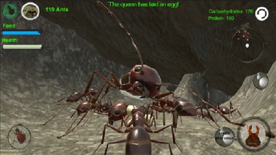 蚂蚁模拟3d中文版(3)