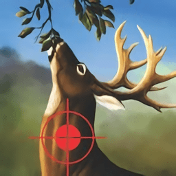 丛林猎鹿狙击狩猎2016单机版游戏(jungle deer hunting 2016)