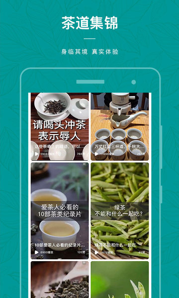 茶物几何appv1.2.5 安卓版(3)