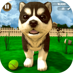 小狗小猫模拟器游戏 v1.0 安卓版