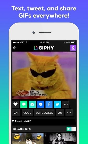 giphy软件