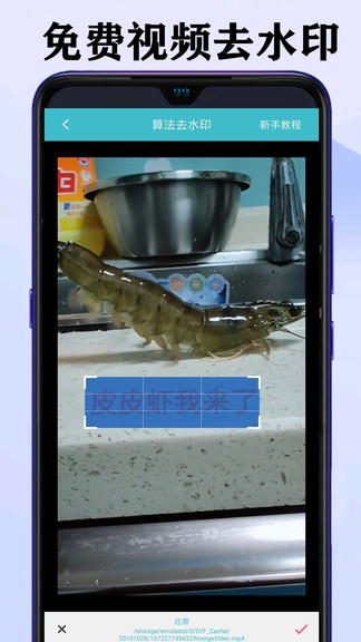 水印视频app(2)
