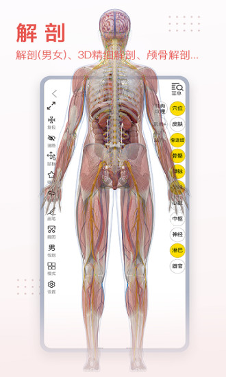 3dbody人体解剖学app免费版v8.8.20(2)