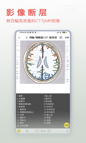 3dbody人体解剖学app免费版v8.8.20(3)