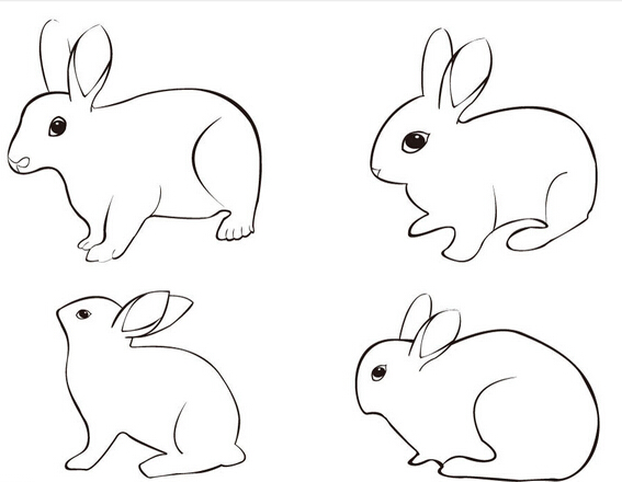 兔子简笔画高清版电脑版(1)
