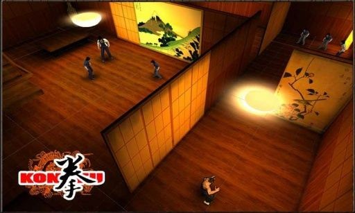 李小龙功夫秀游戏(1)