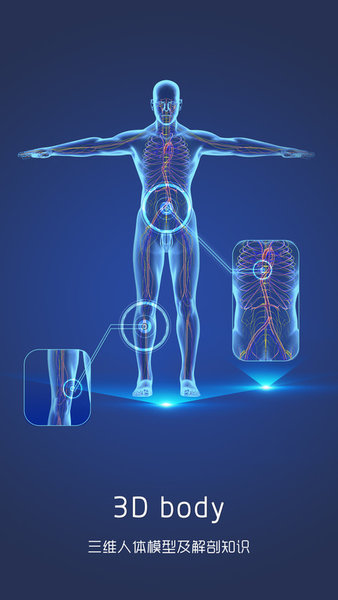 3d人体解剖图谱appv1.3.0 安卓版(2)