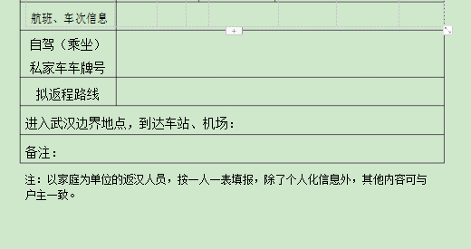 武汉在外人员返汉申请表电子版word版(1)