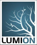 lumion7.3完美破解版 电脑版 338393